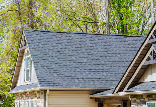 Best Rubber Roofing (EPDM, TPO)  in Au Sable, MI