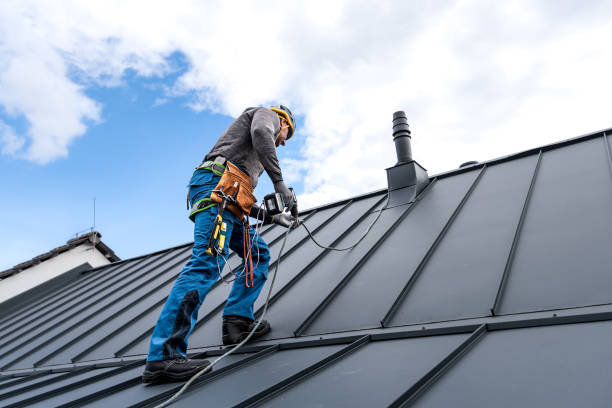 Best Chimney Flashing Repair  in Au Sable, MI